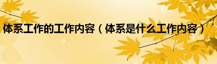 体系工作的工作内容（体系是什么工作内容）