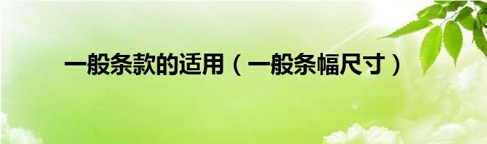 一般条款的适用（一般条幅尺寸）