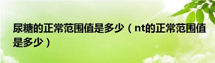 尿糖的正常范围值是多少（nt的正常范围值是多少）
