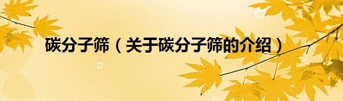 碳分子筛（关于碳分子筛的介绍）