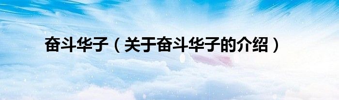 奋斗华子（关于奋斗华子的介绍）