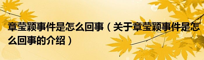 章莹颖事件是怎么回事（关于章莹颖事件是怎么回事的介绍）
