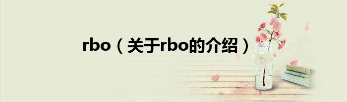 rbo（关于rbo的介绍）