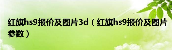 红旗hs9报价及图片3d（红旗hs9报价及图片参数）