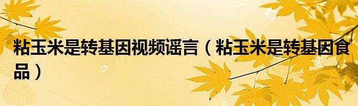 粘玉米是转基因视频谣言（粘玉米是转基因食品）