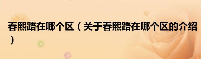 春熙路在哪个区（关于春熙路在哪个区的介绍）