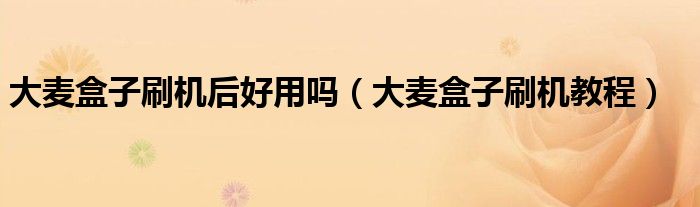 大麦盒子刷机后好用吗（大麦盒子刷机教程）