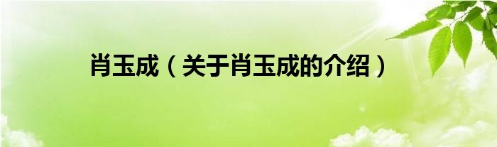 肖玉成（关于肖玉成的介绍）