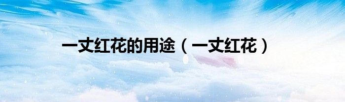 一丈红花的用途（一丈红花）