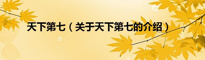 天下第七（关于天下第七的介绍）