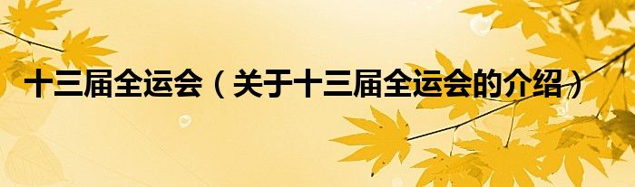 十三届全运会（关于十三届全运会的介绍）