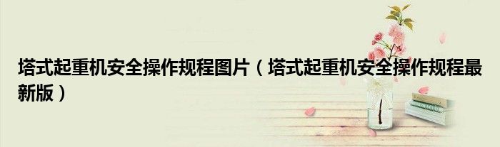 塔式起重机安全操作规程图片（塔式起重机安全操作规程最新版）