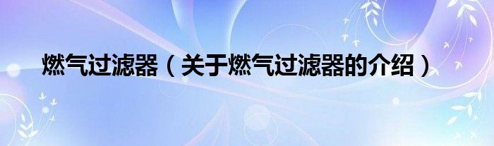 燃气过滤器（关于燃气过滤器的介绍）