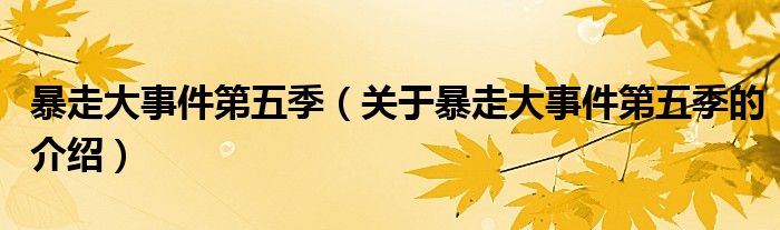 暴走大事件第五季（关于暴走大事件第五季的介绍）