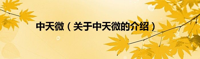 中天微（关于中天微的介绍）