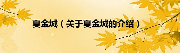 夏金城（关于夏金城的介绍）