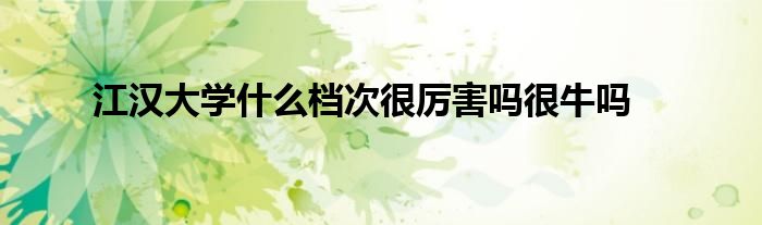 江汉大学什么档次很厉害吗很牛吗