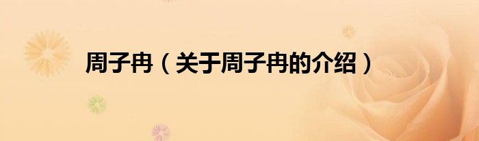 周子冉（关于周子冉的介绍）