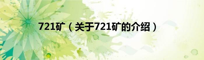 721矿（关于721矿的介绍）