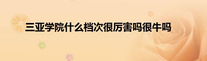 三亚学院什么档次很厉害吗很牛吗