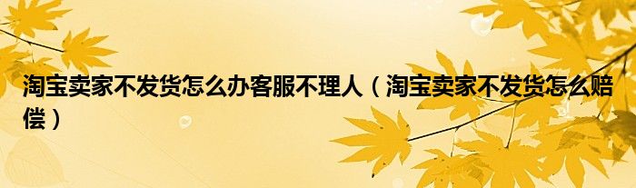 淘宝卖家不发货怎么办客服不理人（淘宝卖家不发货怎么赔偿）