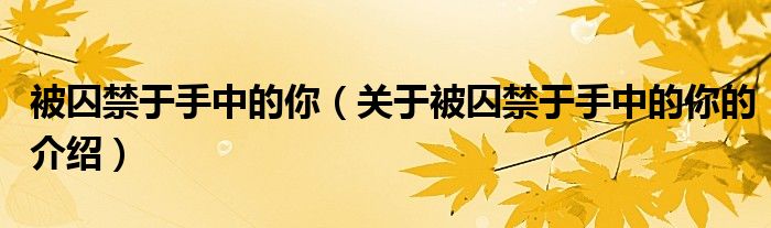 被囚禁于手中的你（关于被囚禁于手中的你的介绍）