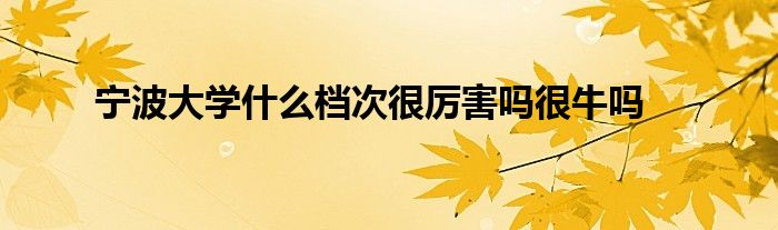 宁波大学什么档次很厉害吗很牛吗
