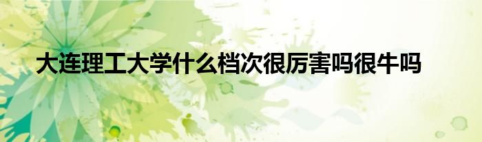 大连理工大学什么档次很厉害吗很牛吗