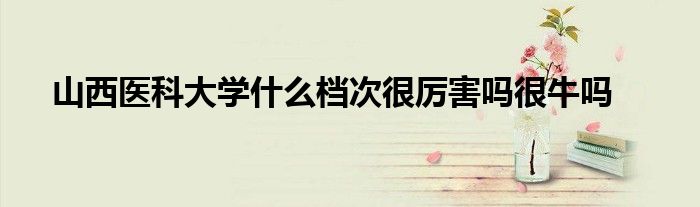 山西医科大学什么档次很厉害吗很牛吗