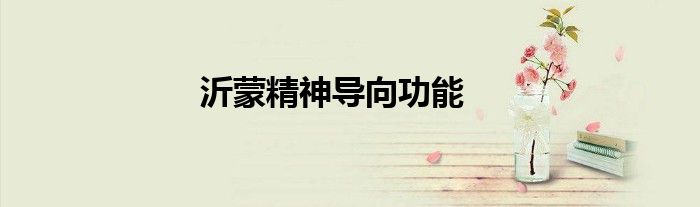 沂蒙精神导向功能
