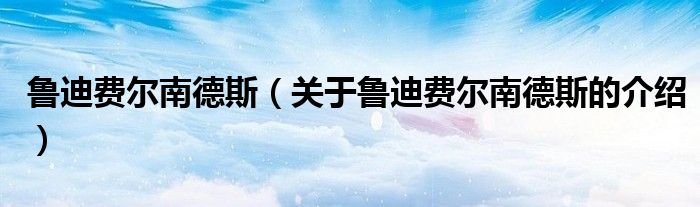 鲁迪费尔南德斯（关于鲁迪费尔南德斯的介绍）