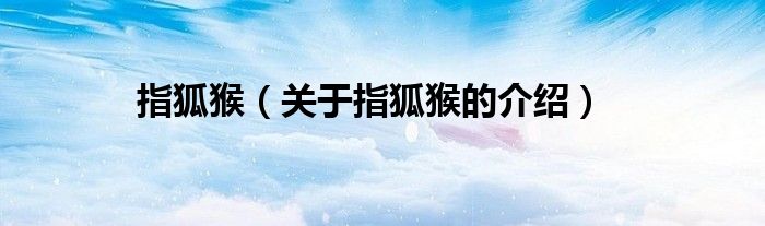 指狐猴（关于指狐猴的介绍）