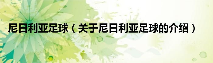 尼日利亚足球（关于尼日利亚足球的介绍）