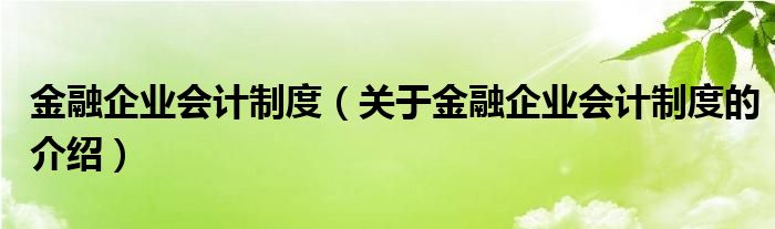 金融企业会计制度（关于金融企业会计制度的介绍）