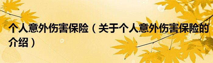 个人意外伤害保险（关于个人意外伤害保险的介绍）