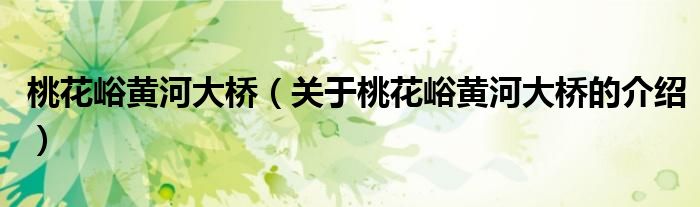 桃花峪黄河大桥（关于桃花峪黄河大桥的介绍）