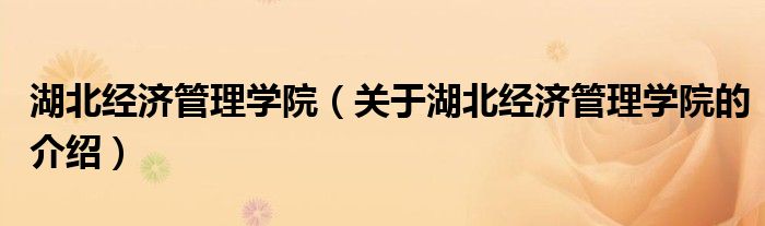 湖北经济管理学院（关于湖北经济管理学院的介绍）