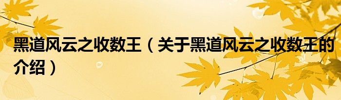 黑道风云之收数王（关于黑道风云之收数王的介绍）