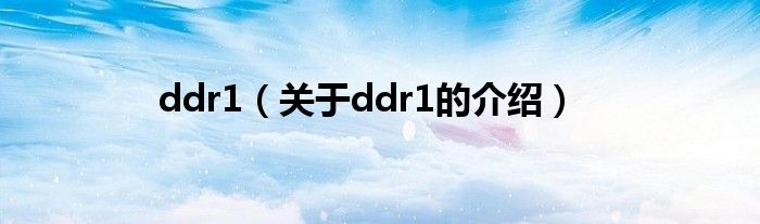 ddr1（关于ddr1的介绍）