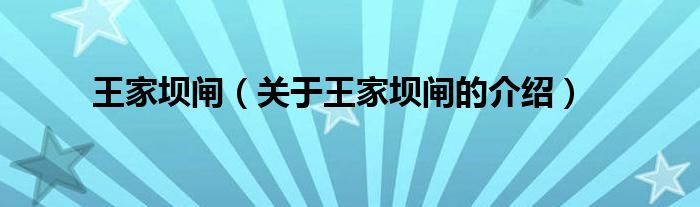 王家坝闸（关于王家坝闸的介绍）