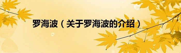 罗海波（关于罗海波的介绍）