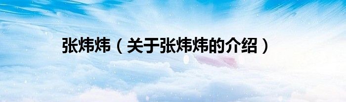 张炜炜（关于张炜炜的介绍）
