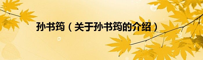 孙书筠（关于孙书筠的介绍）