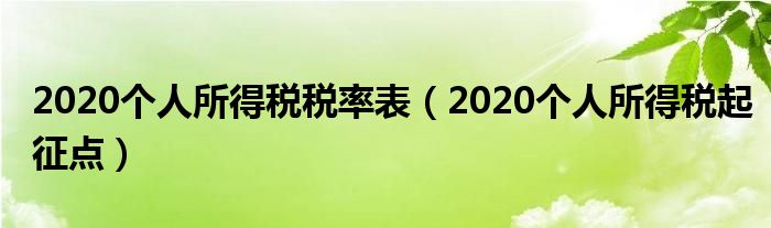 2020个人所得税税率表（2020个人所得税起征点）