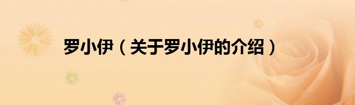 罗小伊（关于罗小伊的介绍）