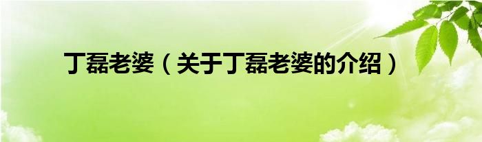 丁磊老婆（关于丁磊老婆的介绍）