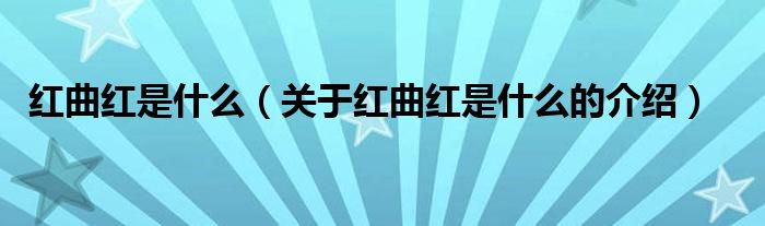 红曲红是什么（关于红曲红是什么的介绍）