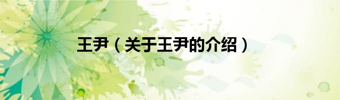 王尹（关于王尹的介绍）