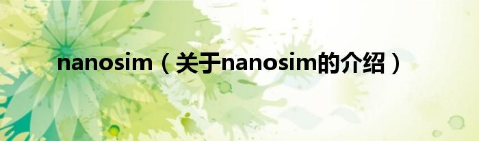 nanosim（关于nanosim的介绍）