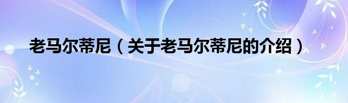 老马尔蒂尼（关于老马尔蒂尼的介绍）